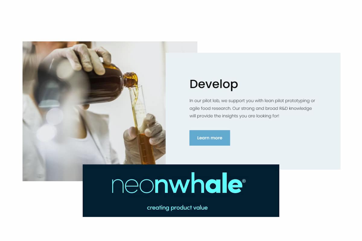 neonwhale-case-CRM-implementation neonwhale-case-CRM-implementation